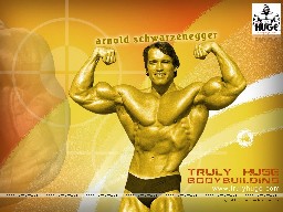 Arnold Schwarzenegger Bodybuilding Wallpaper